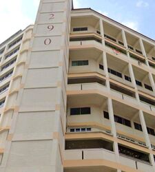 Blk 290 Keat Hong Tembusu (Choa Chu Kang), HDB 4 Rooms #500437041